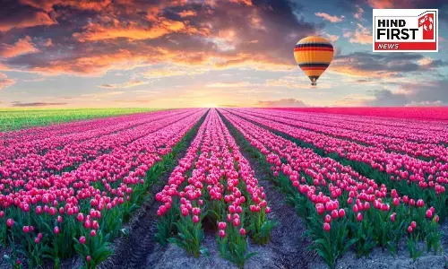 Places to Visit in February: फरवरी में घूमने के लिए ये पांच स्थान हैं बेस्ट, होगा शानदार अनुभव