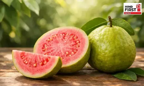 Guava Health Benefits: रोजाना अमरुद खाने से नहीं होगी पाचन की समस्या, और भी हैं फायदें
