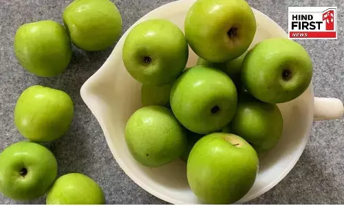 Ber Khane Ke Fayde: छोटे से बेर में छुपा है सेहत का बड़ा खज़ाना, जरूर खाइए