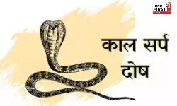 Astro Tips: कालसर्प दोष से छुटकार पाने के लिए इन 5 स्थानों का जरूर करें दर्शन Astro Tips: कालसर्प दोष से छुटकार पाने के लिए इन 5 स्थानों का जरूर करें दर्शन