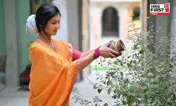 Astro Tips: तुलसी पर भूलकर भी नहीं चढ़ाना चाहिए शिवलिंग का जल ,जानिए इससे जुड़ी मान्यताएं