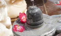Astro Tips: शिवलिंग पर चढ़े हुए जल को शरीर के तीन स्थानों में जरूर लगाएं, बाधाएं होंगी दूर