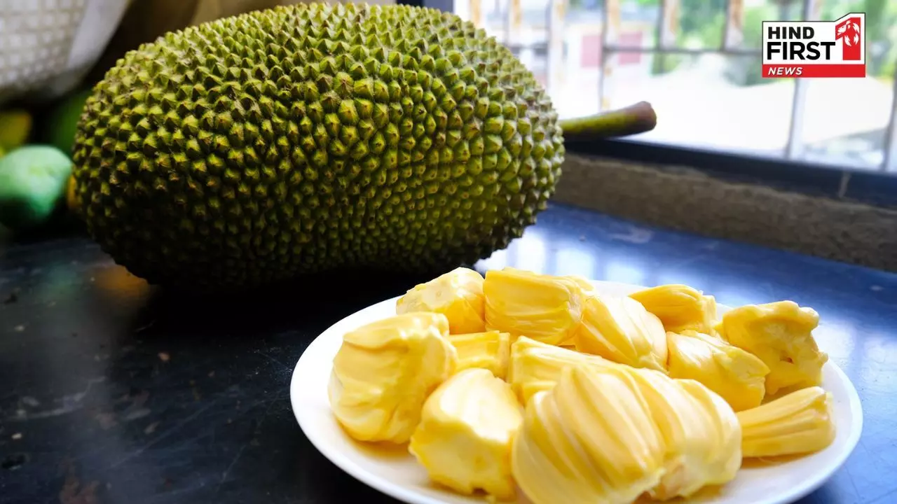 Jackfruit Benefits: कटहल सिर्फ स्वाद ही नहीं सेहत का भी है खज़ाना, जानिए इसके फायदे