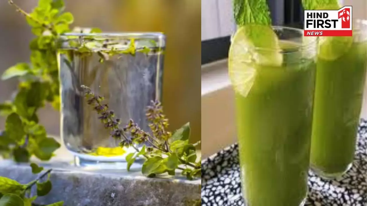 Summer Skin Care: गर्मियों में रूखी हो रही है त्वचा तो रोज़ाना पिएं तुलसी और पुदीने का जूस Summer Skin Care: गर्मियों में रूखी हो रही है त्वचा तो रोज़ाना पिएं तुलसी और पुदीने का जूस