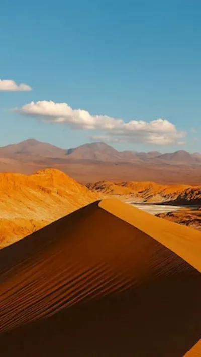 featured-img_1764498205477