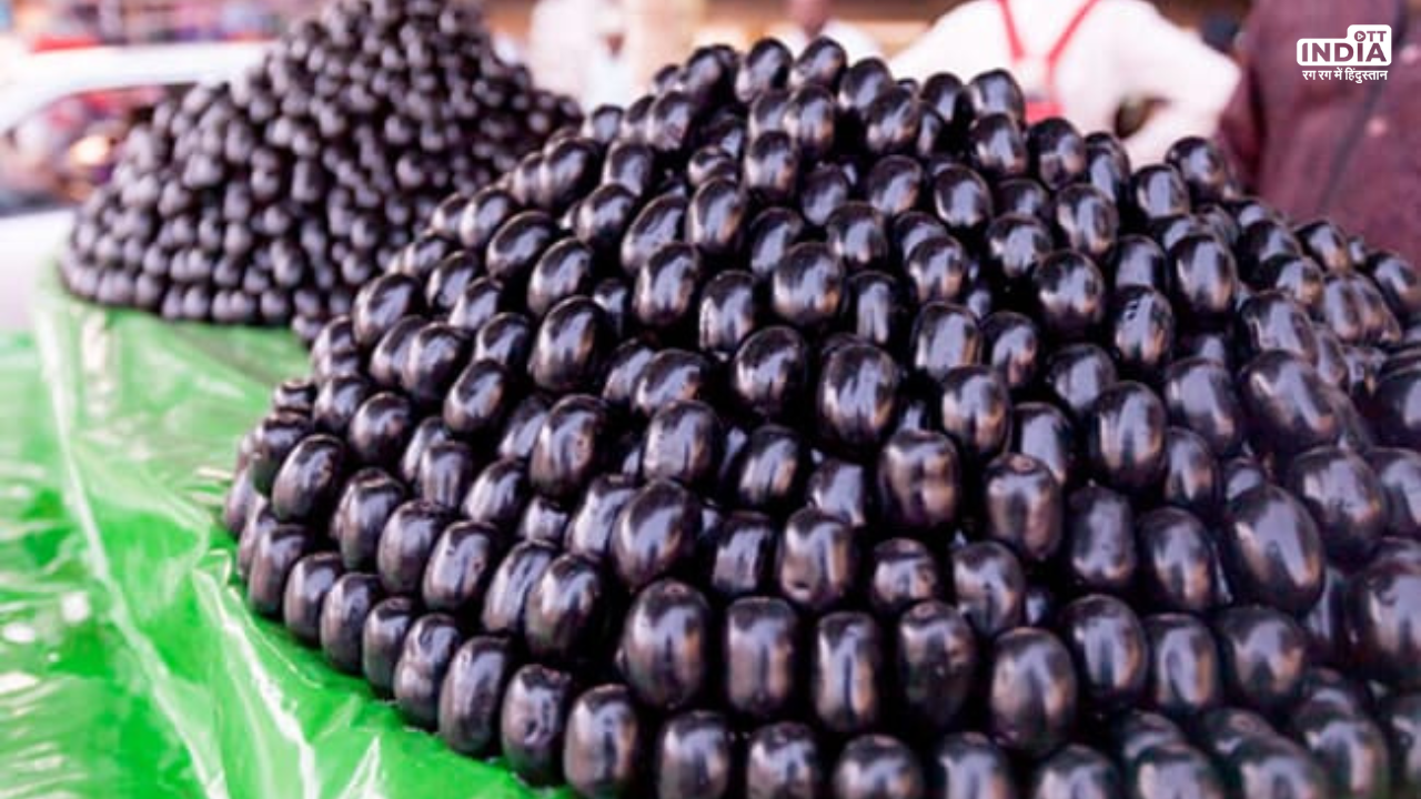 Jamun Benefits: जामुन फल ही नहीं एक दवा भी, ब्लड शुगर को करता है कण्ट्रोल, जानें अन्य फायदे Jamun Benefits: जामुन फल ही नहीं एक दवा भी, ब्लड शुगर को करता है कण्ट्रोल, जानें अन्य फायदे