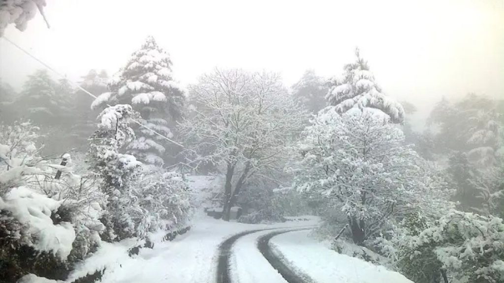 जनवरी में देखना हो स्नोफॉल तो आएं धनोल्टी, यह जगह है एक छुपा हुआ रत्न