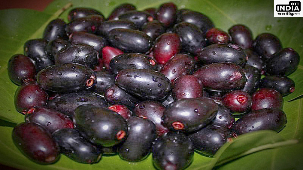 Jamun Fruit: जामुन के सहारे भगवान राम ने काटे थे अपने वनवास के दिन, फल ही नहीं पत्तियां और बीज भी है बहुत फायदेमंद Jamun Fruit: जामुन के सहारे भगवान राम ने काटे थे अपने वनवास के दिन, फल ही नहीं पत्तियां और बीज भी है बहुत फायदेमंद