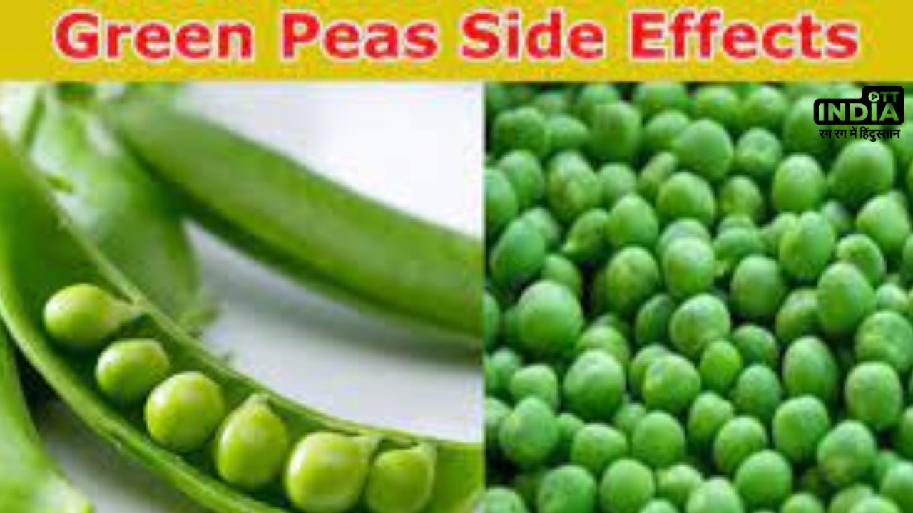 Green Peas Side Effects: सावधान ! हरा मटर भी कर सकता है आपको बीमार , जानिये किन लोगों को नहीं करना चाहिए इसका सेवन Green Peas Side Effects: सावधान ! हरा मटर भी कर सकता है आपको बीमार , जानिये किन लोगों को नहीं करना चाहिए इसका सेवन