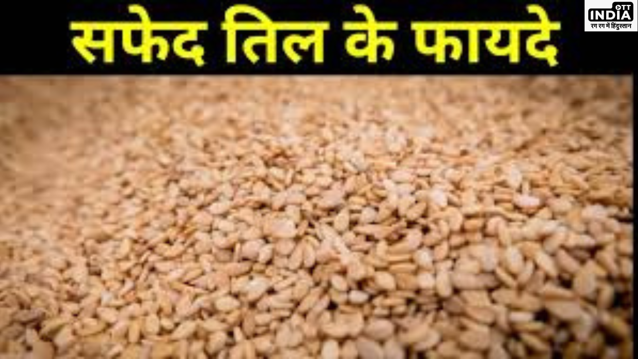 Safed Til Ke Fayde: पोषण से भरा सफ़ेद तिल शरीर में सूजन कम कर हड्डियों को रखता है मजबूत Safed Til Ke Fayde: पोषण से भरा सफ़ेद तिल शरीर में सूजन कम कर हड्डियों को रखता है मजबूत