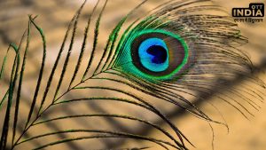 Falgun Month 2024 Daan