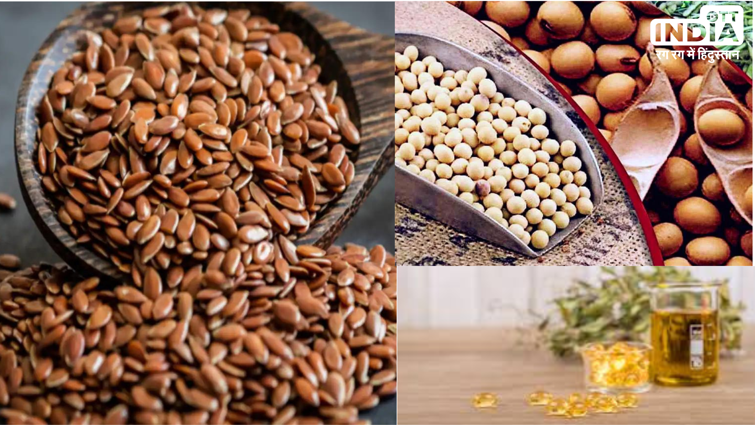 Vegetarian Sources Of Omega-3: ओमेगा 3 की कमी को पूरा करने के लिए खाइये ये 8 शाकाहारी फूड्स Vegetarian Sources Of Omega-3: ओमेगा 3 की कमी को पूरा करने के लिए खाइये ये 8 शाकाहारी फूड्स