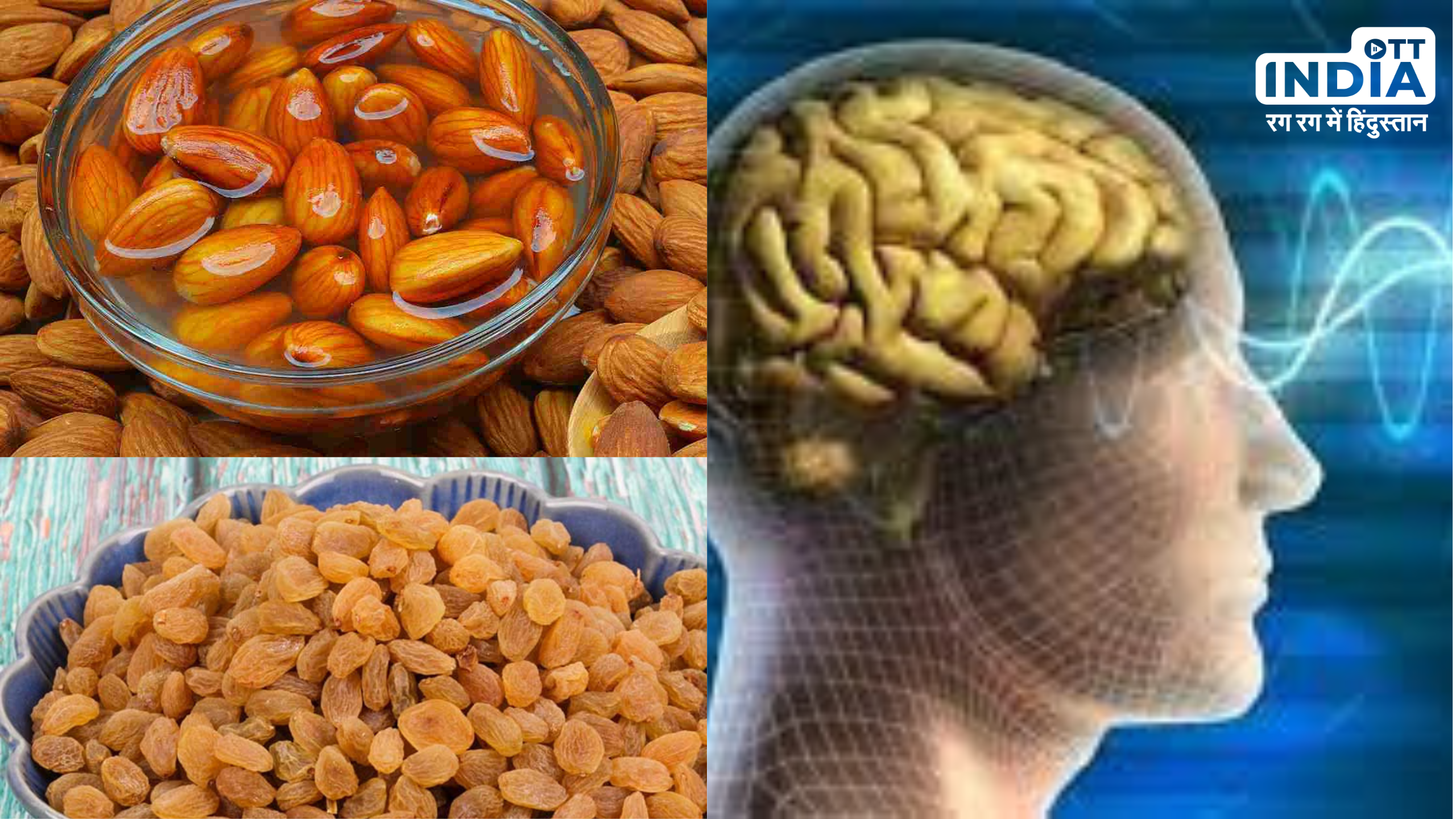 Dry Fruits For Brain: चाहिए हाथी जैसी याददाश्त तो खाइये ये 7 ड्राई फ्रूट्स, दिमाग बनेगा तेज़ Dry Fruits For Brain: चाहिए हाथी जैसी याददाश्त तो खाइये ये 7 ड्राई फ्रूट्स, दिमाग बनेगा तेज़