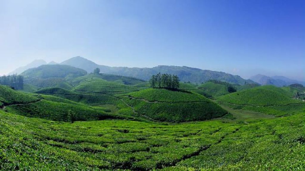 Places to Visit in South India