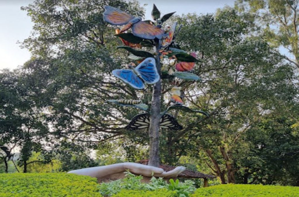 Butterfly Parks in India: ये हैं भारत के पांच सबसे खूबसूरत बटरफ्लाई पार्क, एक बार जरूर घूमें  