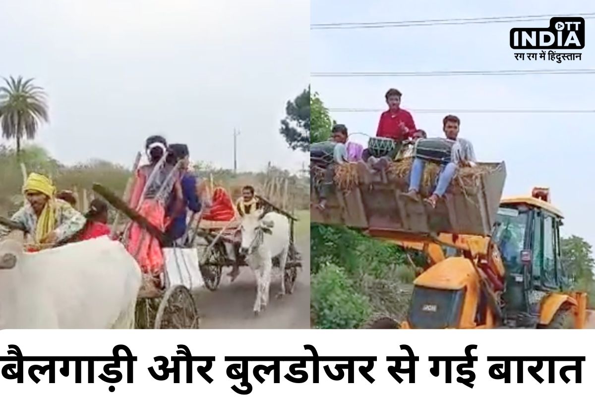 Barat on Bullock Cart: बैलगाड़ी पर दूल्हा और बुलडोजर पर बैंड-बाजा, बारात, सिवनी में अनोखी शादी देख लोग हुए दंग Barat on Bullock Cart: बैलगाड़ी पर दूल्हा और बुलडोजर पर बैंड-बाजा, बारात, सिवनी में अनोखी शादी देख लोग हुए दंग