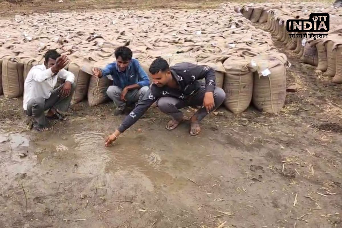 Havoc Of Rain In MP: मध्यप्रदेश में मौसम का कहर, बेमौसम बारिश में प्रशासन की लापरवाही से किसानों की मेहनत पर फिरा पानी! जानिए इस खबर में Havoc Of Rain In MP: मध्यप्रदेश में मौसम का कहर, बेमौसम बारिश में प्रशासन की लापरवाही से किसानों की मेहनत पर फिरा पानी! जानिए इस खबर में