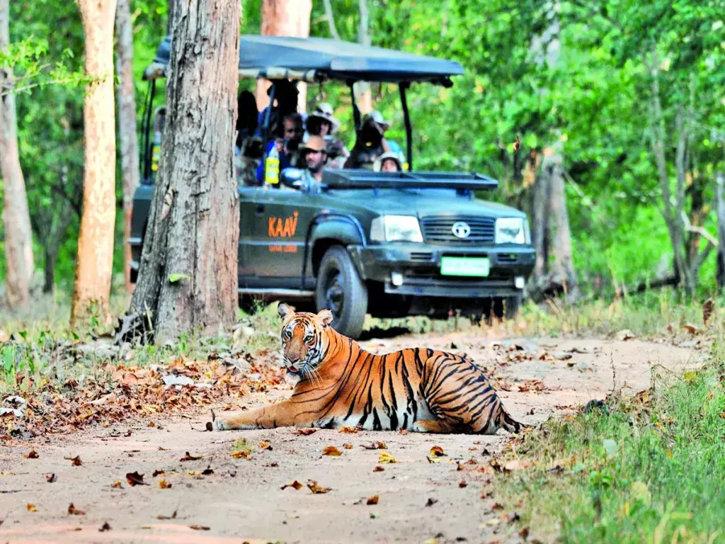Nagarhole National Park