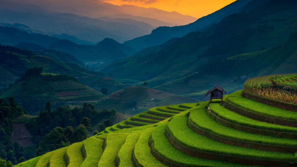 Ranikhet In Uttrakhand