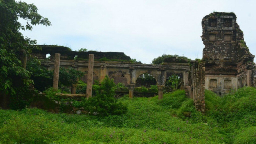 Sonbhadra Fossil Park in UP