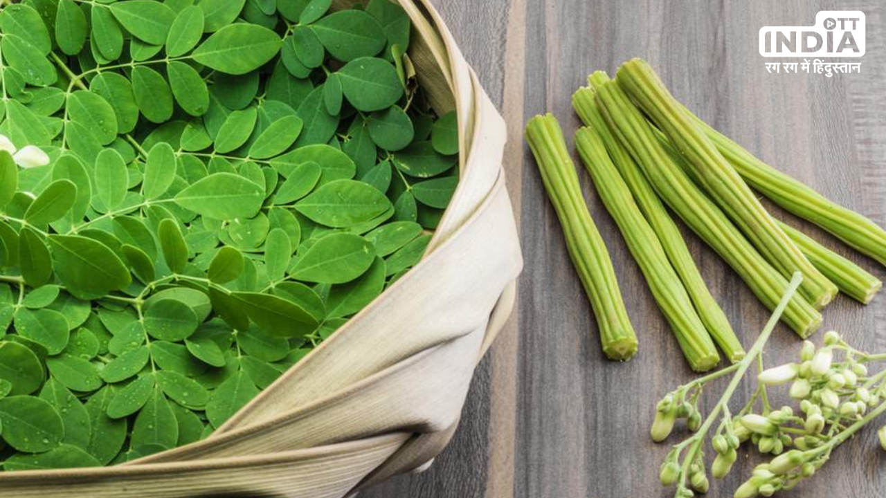 Moringa Benefits: विटामिन और मिनरल से भरपूर मोरिंगा बढ़ाता है इम्युनिटी और एनर्जी लेवल Moringa Benefits: विटामिन और मिनरल से भरपूर मोरिंगा बढ़ाता है इम्युनिटी और एनर्जी लेवल