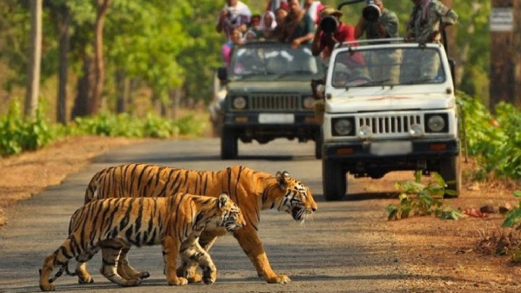 Oldest National Parks in India: ये हैं भारत के पांच सबसे पुराने नेशनल पार्क, देखना ना भूलें   