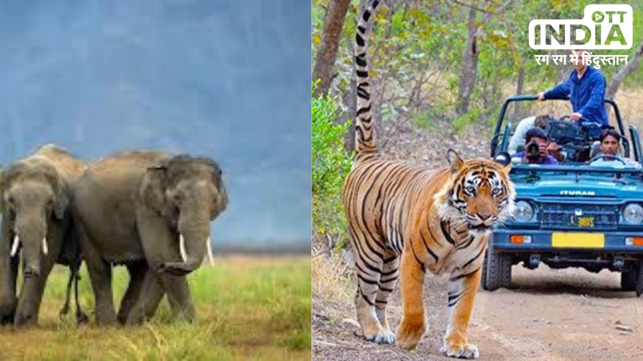 Jim Corbett National Park: सचिन तेंदुलकर ने भी लिया यहाँ घूमने का आनंद, जानें इस नेशनल पार्क की खास बातें