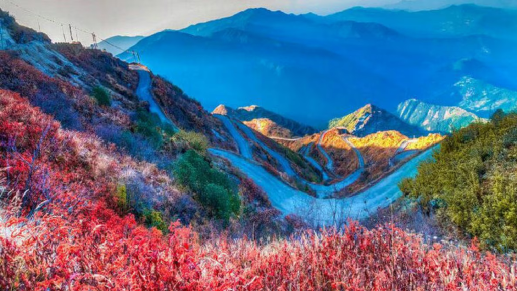 Yumthang Valley: इस बार छुट्टियों में जरूर घूमें युमथांग वैली, जानें कहां है यह स्थित   