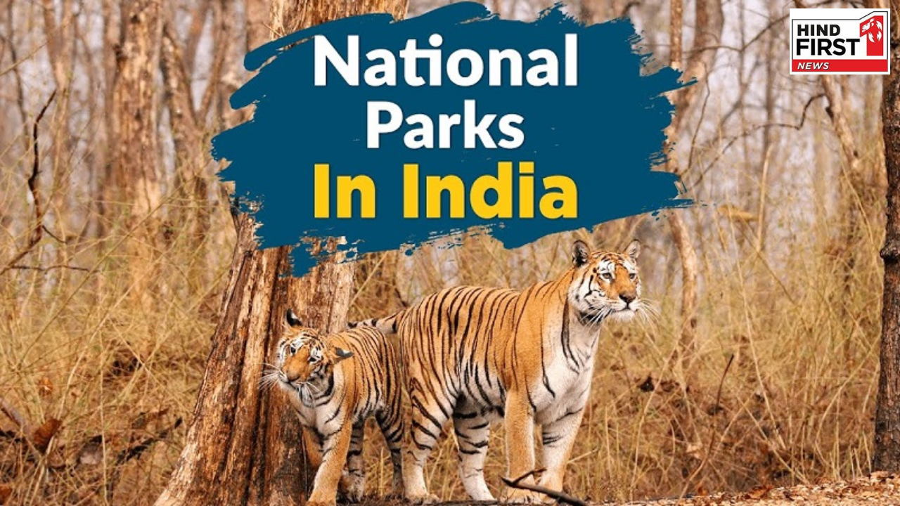 Oldest National Parks in India: ये हैं भारत के पांच सबसे पुराने नेशनल पार्क, देखना ना भूलें