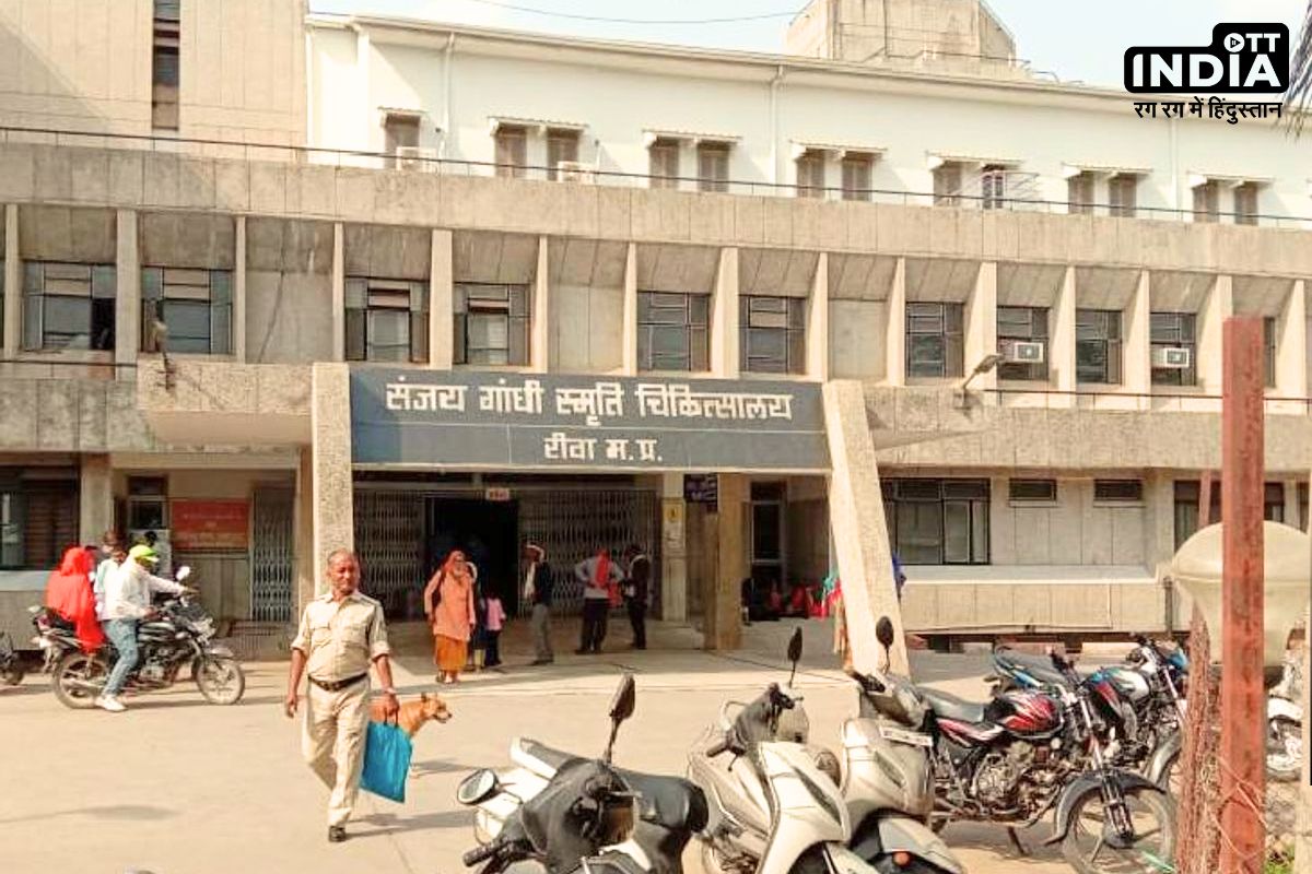 Mobile Blast In Shahdol: चार्जिंग पर मोबाइल लगाकर गेम खेल रही थी बच्ची, ब्लास्ट होने से उंगलियां कटीं, हाथ के उड़े चीथड़े, पढ़ें पूरी खबर... Mobile Blast In Shahdol: चार्जिंग पर मोबाइल लगाकर गेम खेल रही थी बच्ची, ब्लास्ट होने से उंगलियां कटीं, हाथ के उड़े चीथड़े, पढ़ें पूरी खबर...