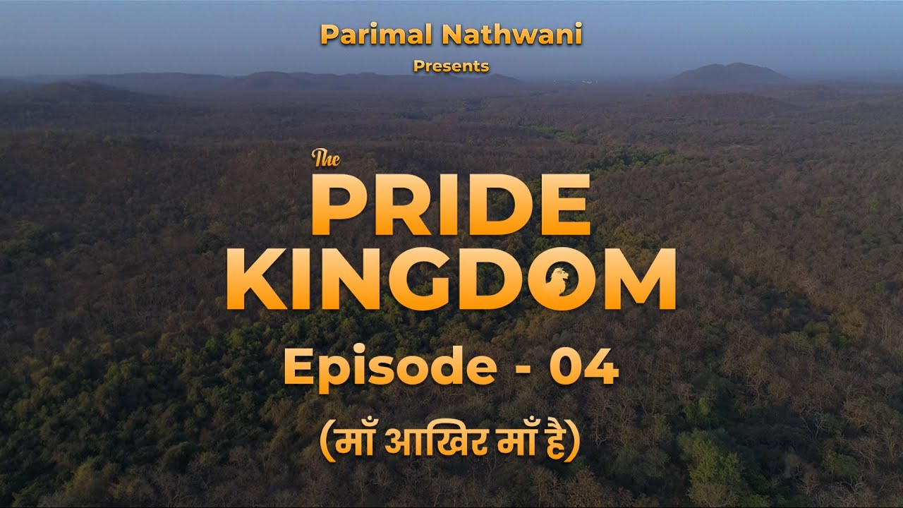 The Pride Kingdom - Episode 4