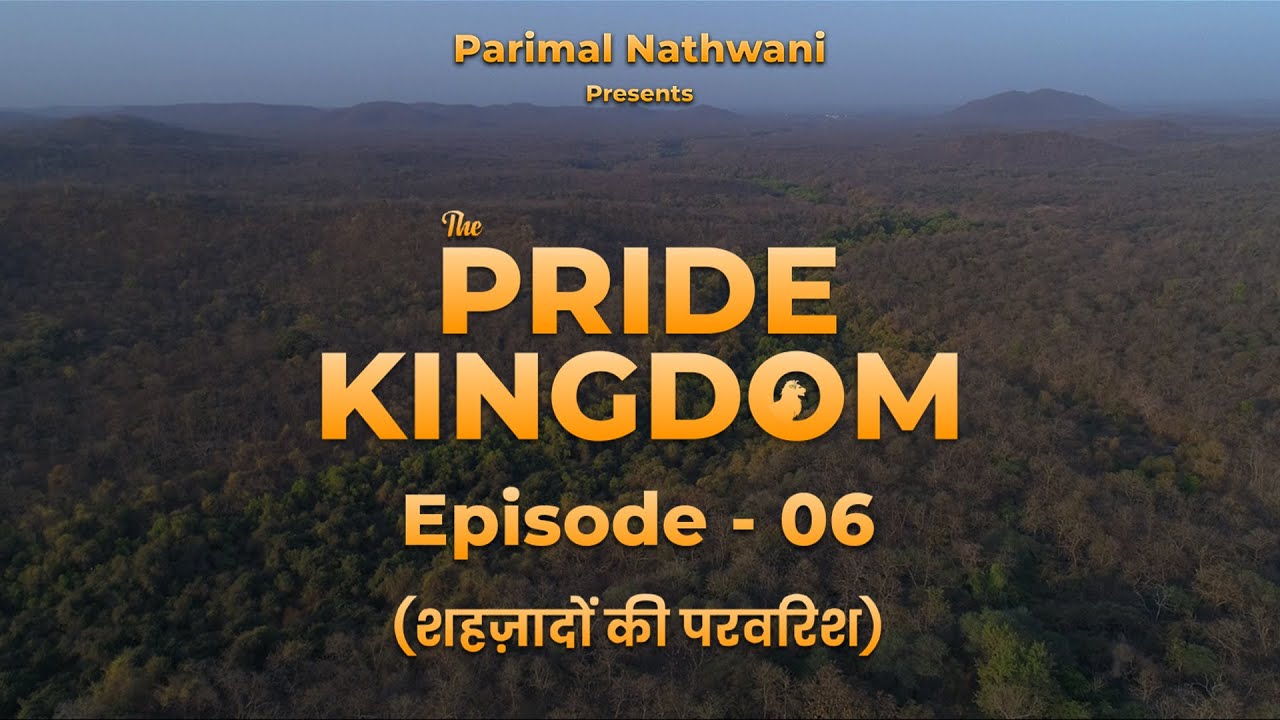 The Pride Kingdom - Episode6