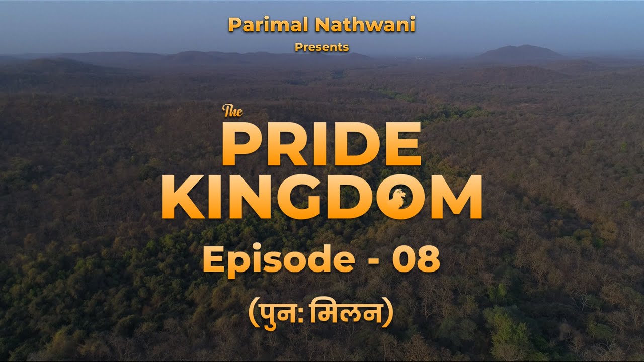 The Pride Kingdom - Episode8