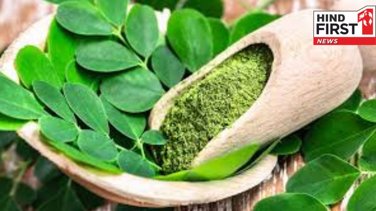 Moringa Benefits for Women: मोरिंगा है महिलाओं के लिए पोषण का पावरहाउस, जानें इसके फायदे Moringa Benefits for Women: मोरिंगा है महिलाओं के लिए पोषण का पावरहाउस, जानें इसके फायदे