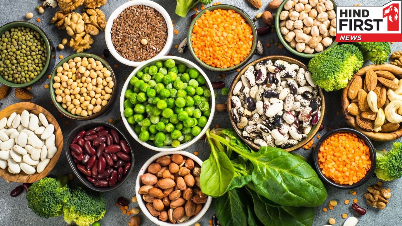 Plant Protein: प्लांट प्रोटीन के इन 5 फायदों को जानकर चौंक जाएंगे आप , जानिए इसके बेहतरीन स्त्रोत Plant Protein: प्लांट प्रोटीन के इन 5 फायदों को जानकर चौंक जाएंगे आप , जानिए इसके बेहतरीन स्त्रोत
