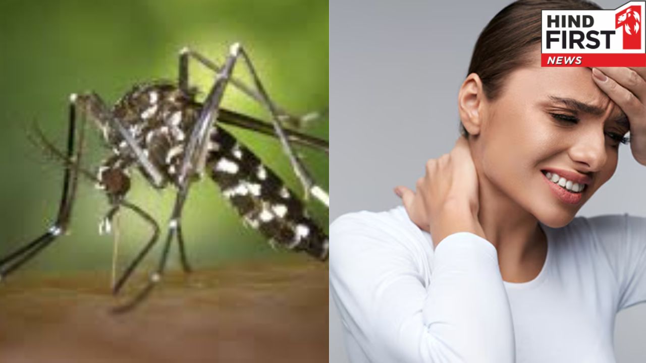 Chikungunya Symptoms: शरीर में इन संकेतों को ना करें इग्नोर , जानिए कैसे करें चिकनगुनिया से बचाव Chikungunya Symptoms: शरीर में इन संकेतों को ना करें इग्नोर , जानिए कैसे करें चिकनगुनिया से बचाव