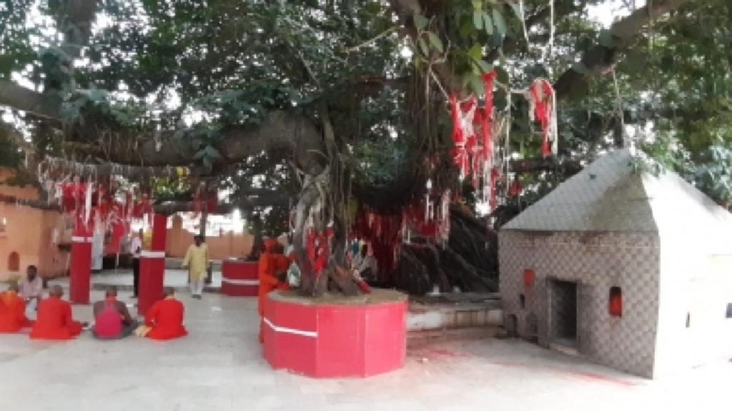 Gaya in Pitru Paksha: गया में पिंड दान का है विशेष महत्व, जानिए इसके पीछे की पौराणिक कहानी  