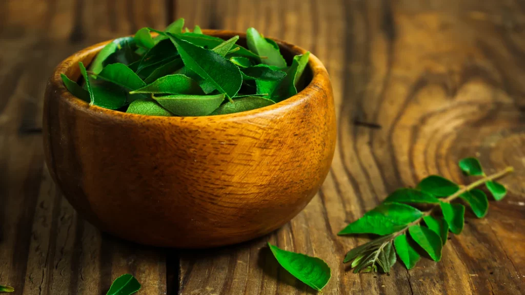 Curry Leaves For Hair: खाना ही नहीं बालों को भी सुन्दर बनाता है करी पत्ता, जानिए कैसे?  