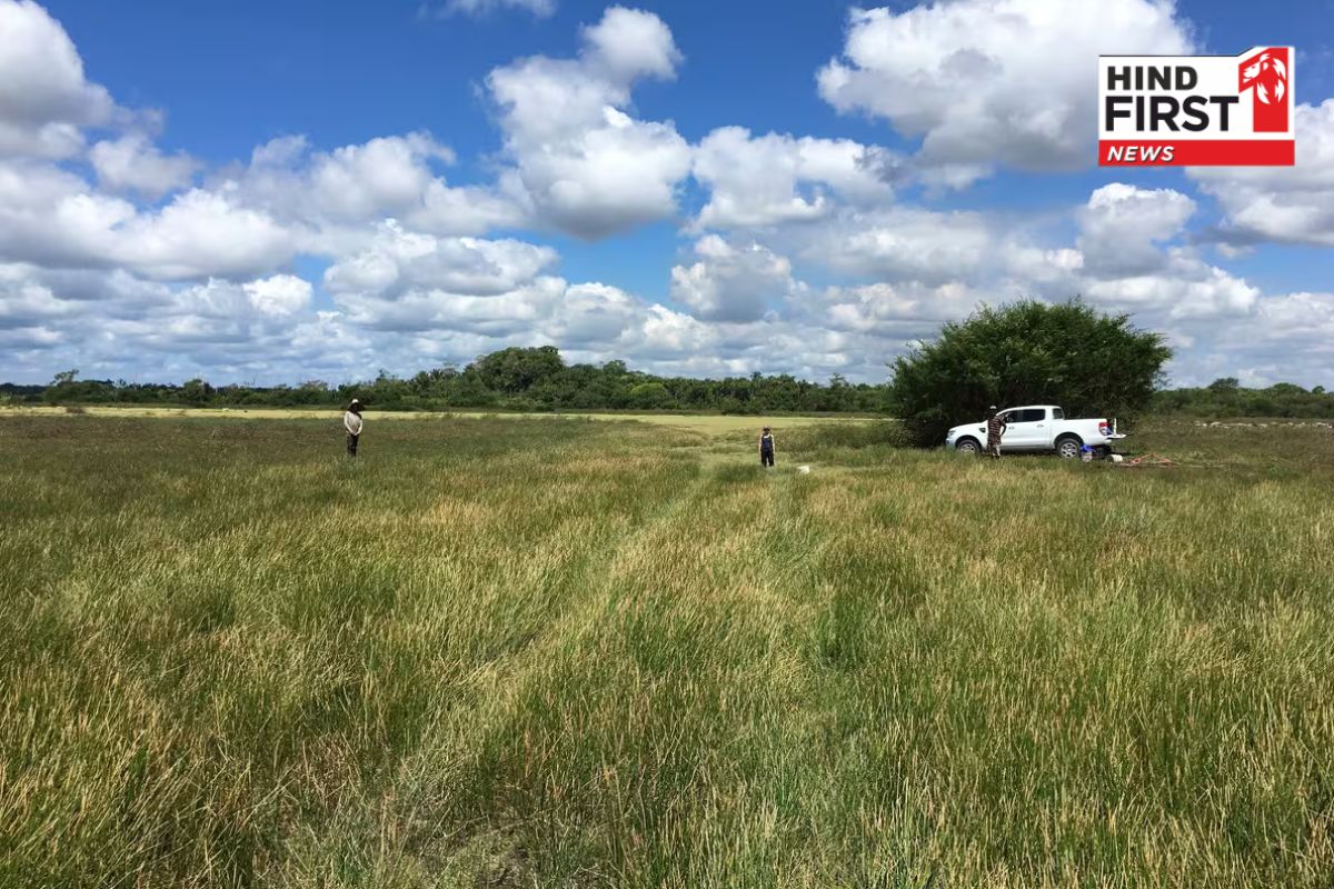 हैरान कर देने वाली खोज; माया सभ्यता से भी पुरानी नहरें मिलीं, 4000 साल पहले मछली पकड़ने में होता था इस्तेमाल हैरान कर देने वाली खोज; माया सभ्यता से भी पुरानी नहरें मिलीं, 4000 साल पहले मछली पकड़ने में होता था इस्तेमाल