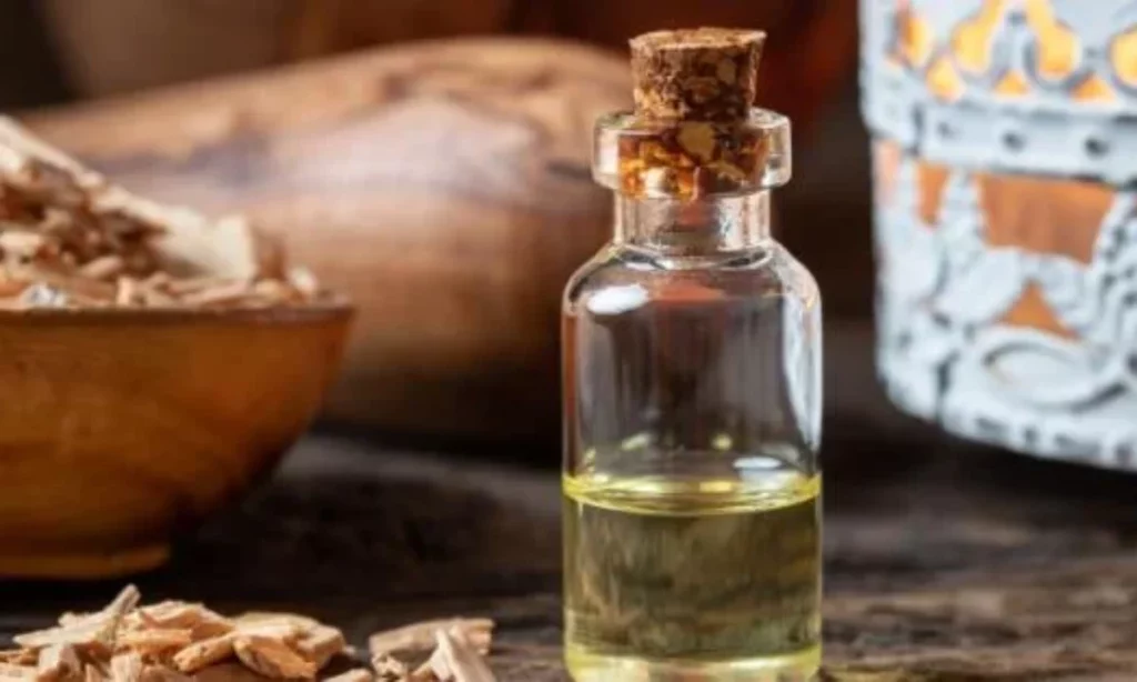 Cedarwood Oil: बालों के लिए पोषण से भरपूर है देवदार का तेल, जानिए कैसे करें इस्तेमाल   