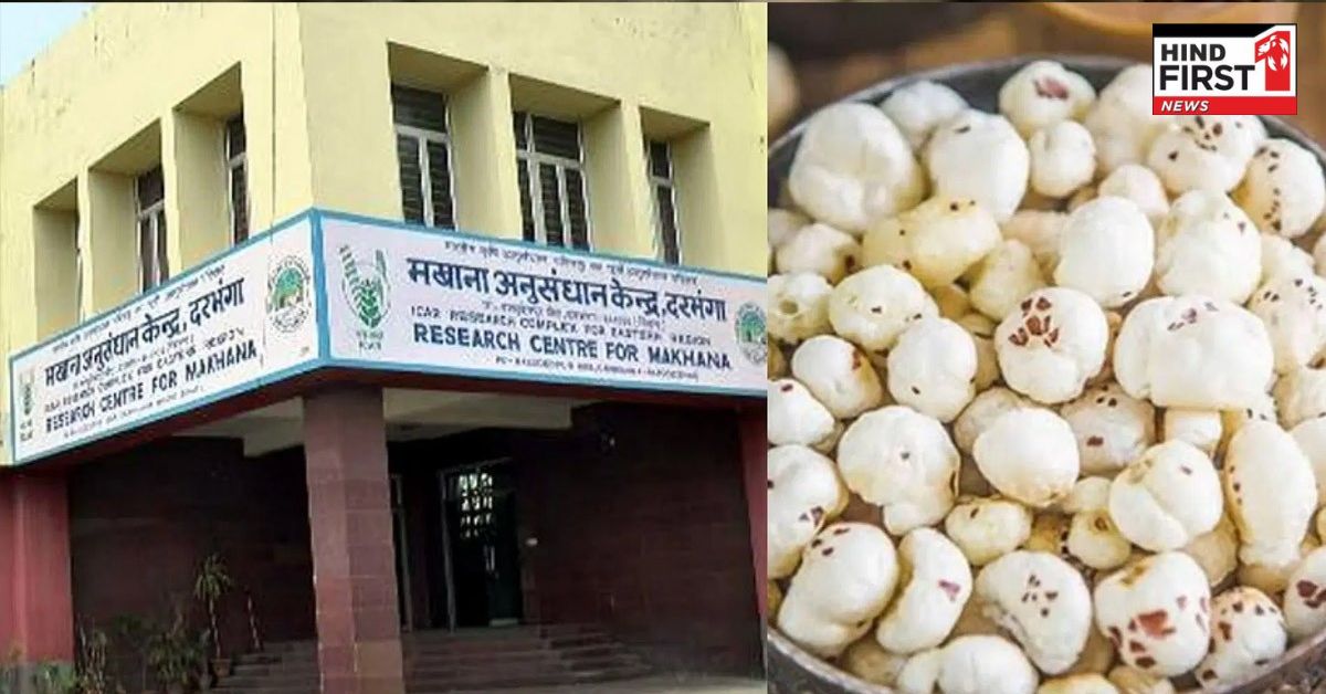 White Gold Makhana : कैसे बनता है ‘व्हाइट गोल्ड’ मखाना? वित्त मंत्री ने बजट में दी ये सौगात White Gold Makhana : कैसे बनता है ‘व्हाइट गोल्ड’ मखाना? वित्त मंत्री ने बजट में दी ये सौगात