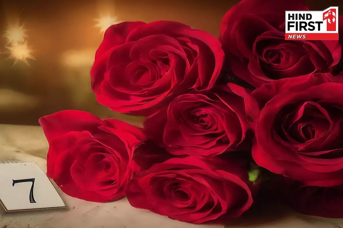 Rose Day 2025: रोज डे पर अपनों को भेजें ये प्यारे शुभकामना संदेश, खास हो जाएगा उनका दिन Rose Day 2025: रोज डे पर अपनों को भेजें ये प्यारे शुभकामना संदेश, खास हो जाएगा उनका दिन