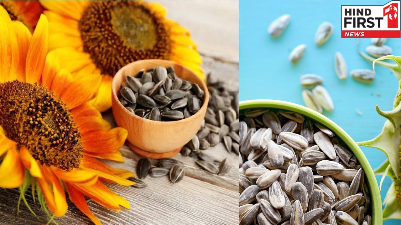 Sunflower Seeds: रोज़ाना सूरजमुखी के बीज का सेवन करेगा चमत्कार, जानें इसके फायदे Sunflower Seeds: रोज़ाना सूरजमुखी के बीज का सेवन करेगा चमत्कार, जानें इसके फायदे