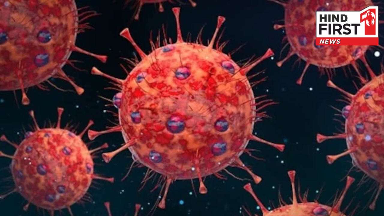 एक और महामारी का मंडरा रहा है खतरा! चीनी वैज्ञानिकों ने खोजा एक नया बैट वायरस एक और महामारी का मंडरा रहा है खतरा! चीनी वैज्ञानिकों ने खोजा एक नया बैट वायरस