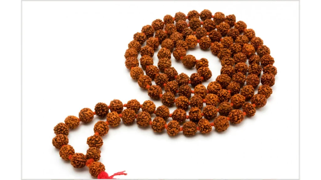 Rudraksha Ke Niyam: रुद्राक्ष की माला से जुड़े इन 5 नियमों का पालन है बेहद जरुरी, आप भी जानें