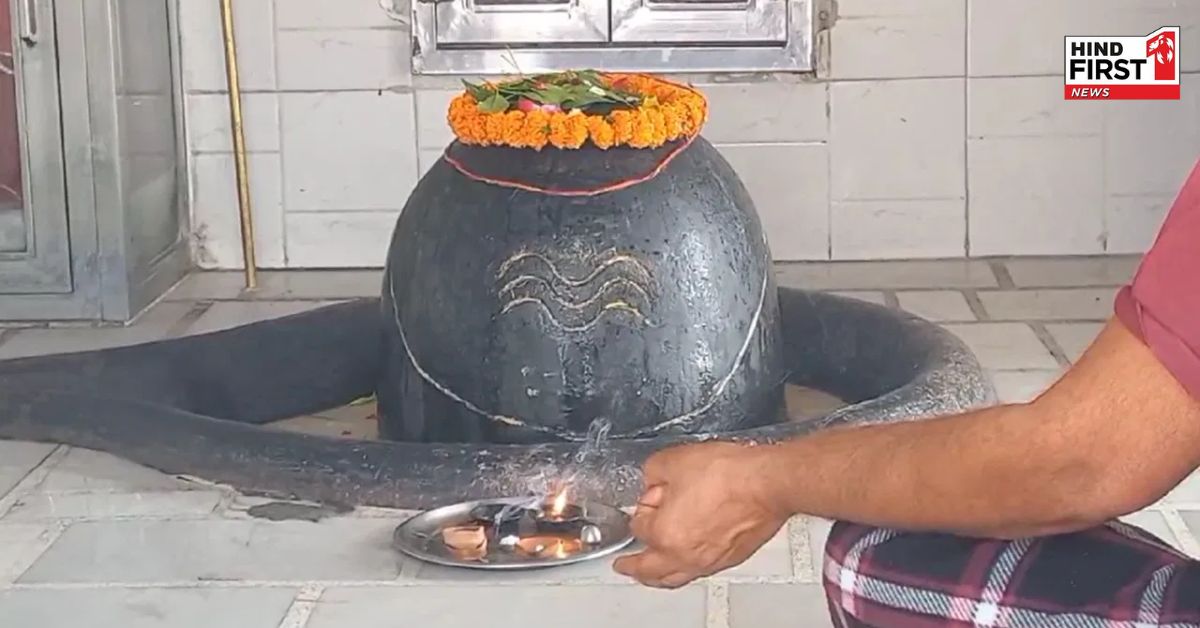 इस शहर में होलिका को दहन को लेकर है अनूठी परंपरा, बरसों से नहीं हुआ होलिका दहन इस शहर में होलिका को दहन को लेकर है अनूठी परंपरा, बरसों से नहीं हुआ होलिका दहन