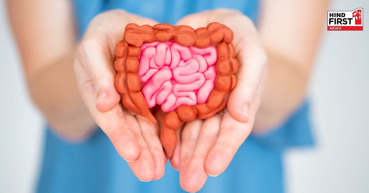 Gut Health: गट हेल्थ में सुधार के लिए इन सुपर फूड्स को आज ही करें अपनी डाइट में शामिल