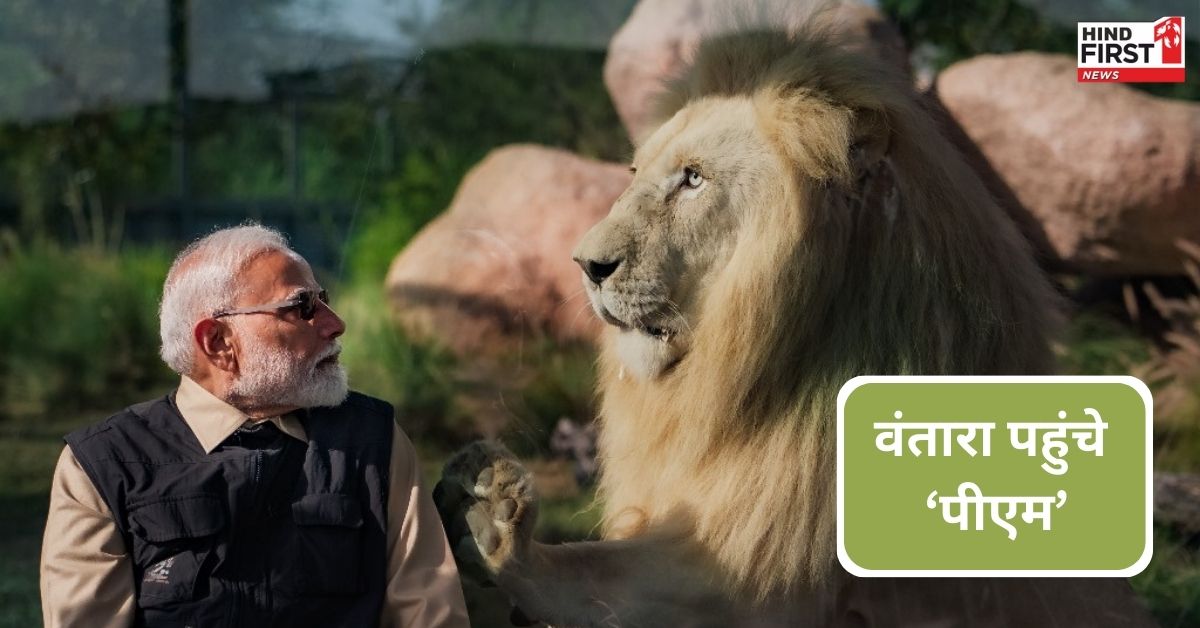 Vantara Wildlife सेंटर का पीएम मोदी ने किया उद्घाटन, वीडियो किया रिलीज Vantara Wildlife सेंटर का पीएम मोदी ने किया उद्घाटन, वीडियो किया रिलीज
