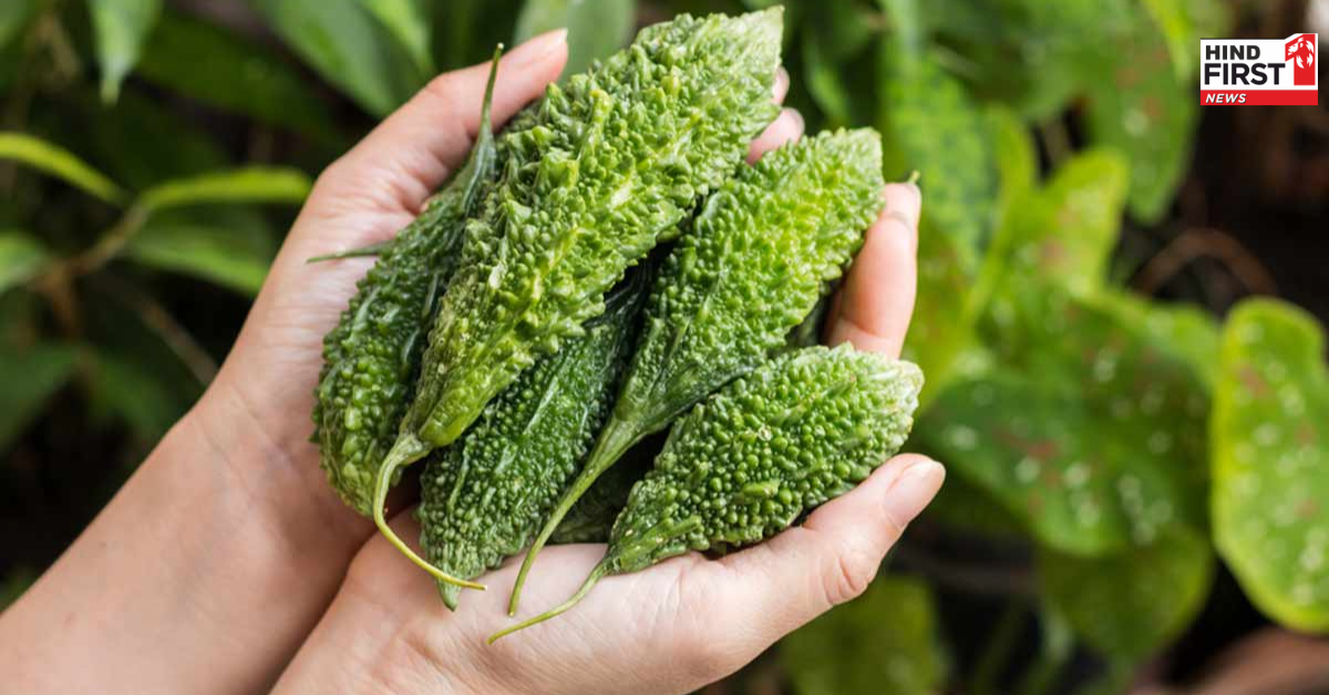 सेहत के लिए किसी खजाने से कम नहीं है कड़वा करेला, नियमित सेवन से मिलते हैं ये फायदे सेहत के लिए किसी खजाने से कम नहीं है कड़वा करेला, नियमित सेवन से मिलते हैं ये फायदे