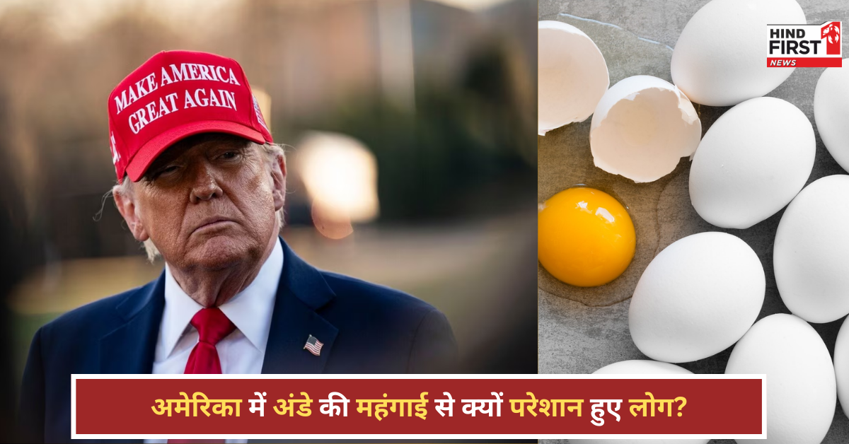 अमेरिका में अंडे की महंगाई से परेशान लोग अब किराए पर ले रहे हैं मुर्गियां, जानिए क्या है रेंट द चिकन अमेरिका में अंडे की महंगाई से परेशान लोग अब किराए पर ले रहे हैं मुर्गियां, जानिए क्या है रेंट द चिकन